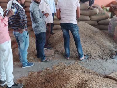 Whatsapp Image 2025 11 13 At 1.20.43 Pm