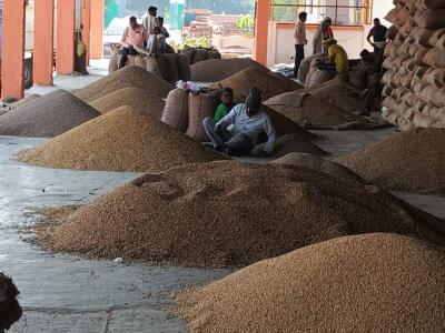 Whatsapp Image 2025 11 13 At 1.20.44 Pm1