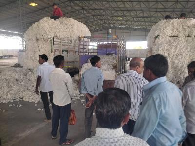 Whatsapp Image 2025 11 13 At 2.11.50 Pm