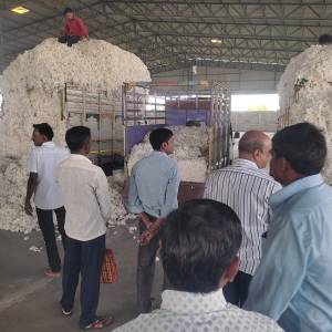 WhatsApp_Image_2025-11-13_at_2.11.50_PM_original