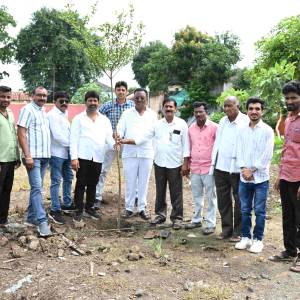 vrksaropana__A_original