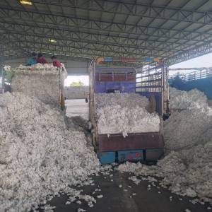 WhatsApp_Image_2025-11-13_at_2.11.48_PM2_original