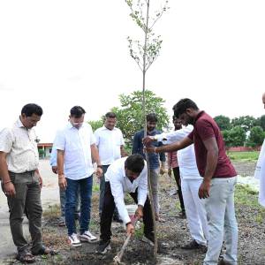 ma._vrksaropana_original