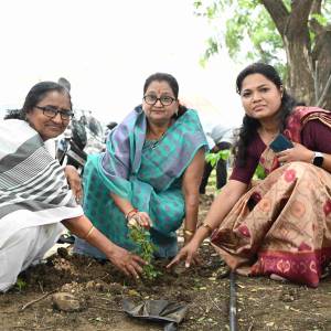 vrksa_abaka_original