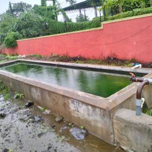 pani_hoda_janavara_original